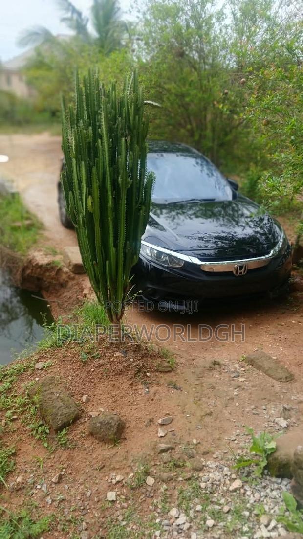 Honda Civic 2018 Black
