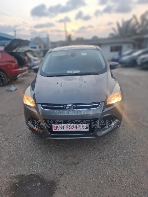 Ford Escape SE 2013 Gray