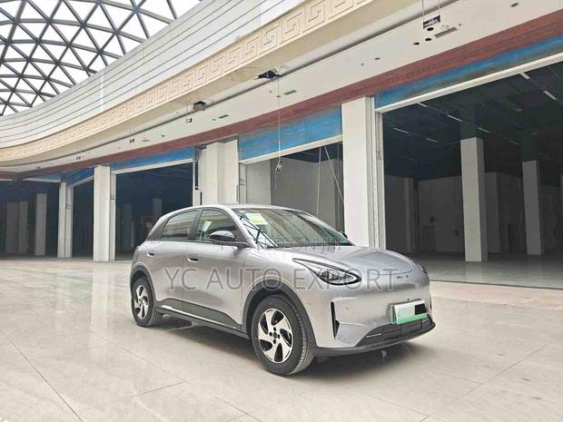Geely Xingyuan 2026 Gray
