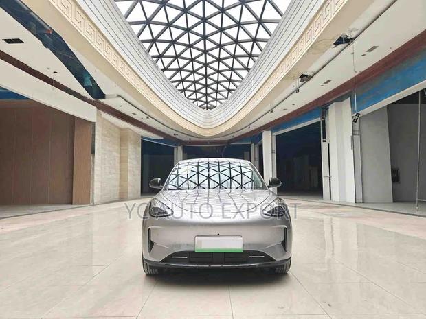 Geely Xingyuan 2026 Gray
