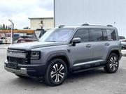 Haval Menglong 2025 Gray for sale