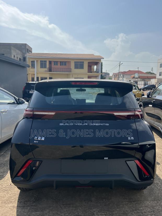 New BYD Seagull 2025 Black