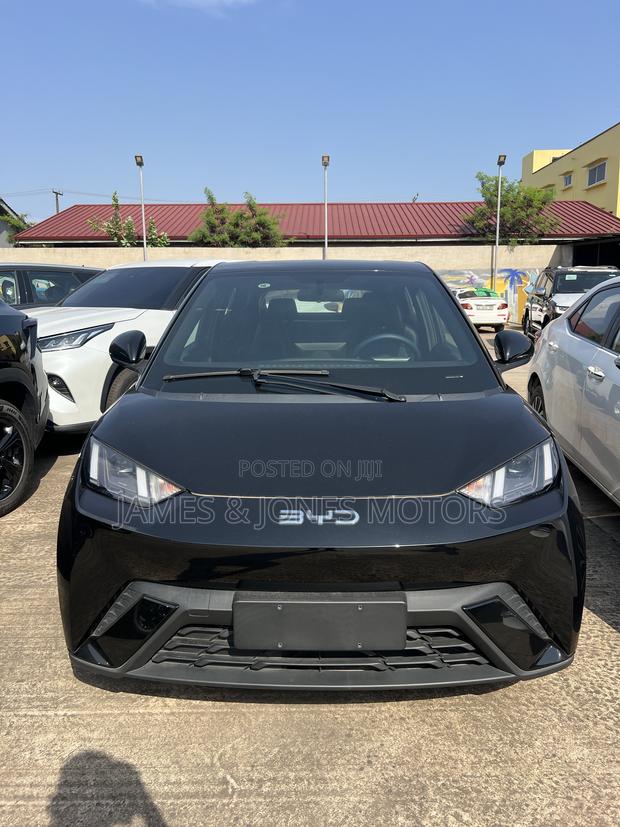 New BYD Seagull 2025 Black