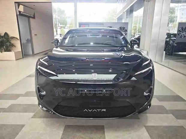 New Avatr 11 2025 Black