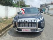 Hyundai Palisade Limited 2023 Black for sale
